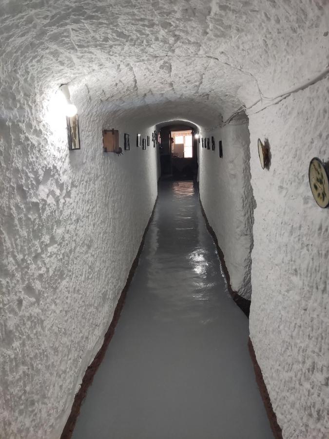 Cueva Navarro Gorafe Εξωτερικό φωτογραφία